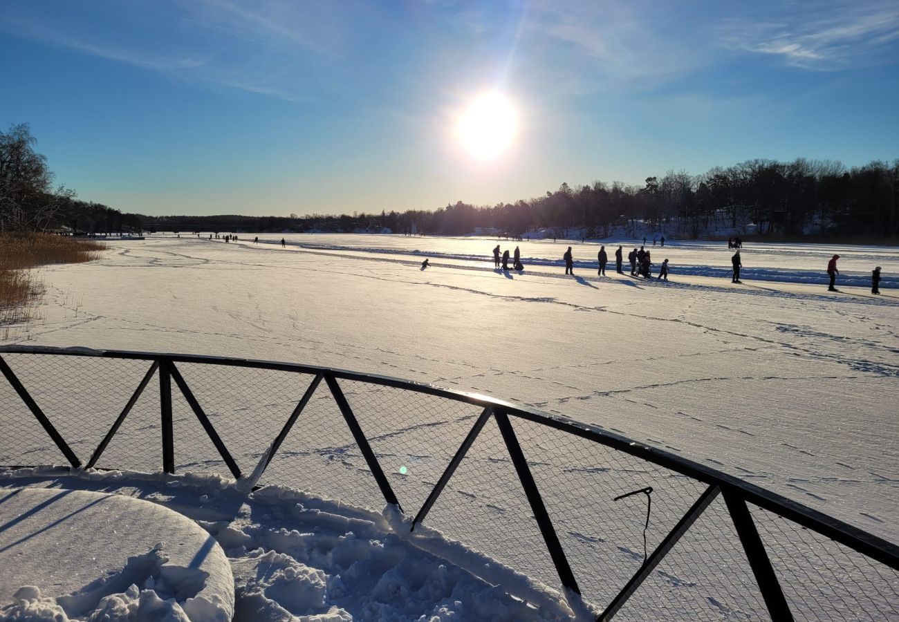 Skating ice on lake