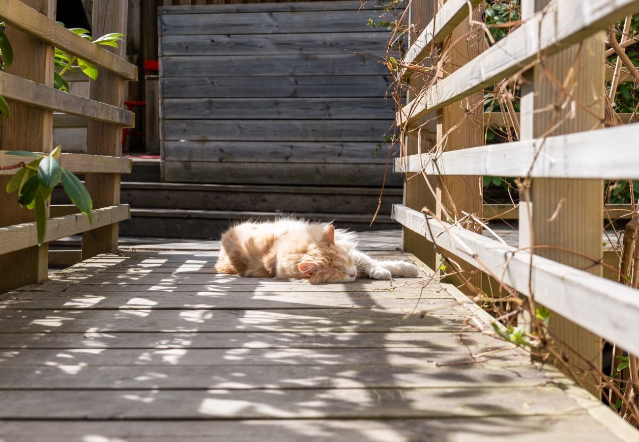 Villa in Nacka -  Archipelago Villa Cat Friendly