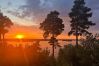 Villa in Nacka -  Archipelago Villa Cat Friendly