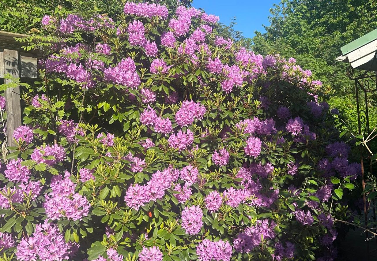 Villa i Nacka -  Skärgårds villa Katt  Vänlig