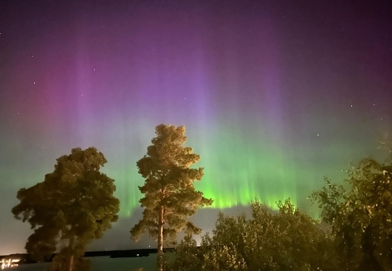 Villa i Nacka -  Skärgårds villa Katt  Vänlig